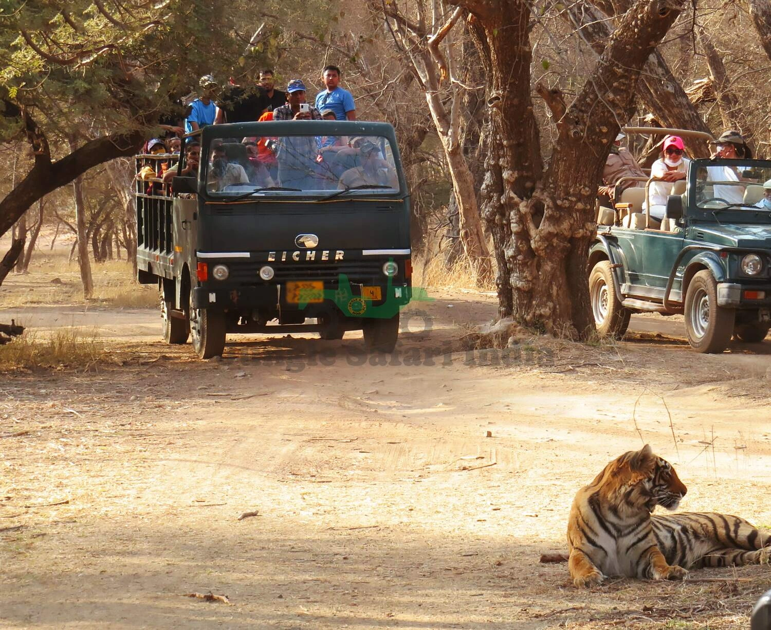 Ranthambore Tour Package with 1 Canter Safari